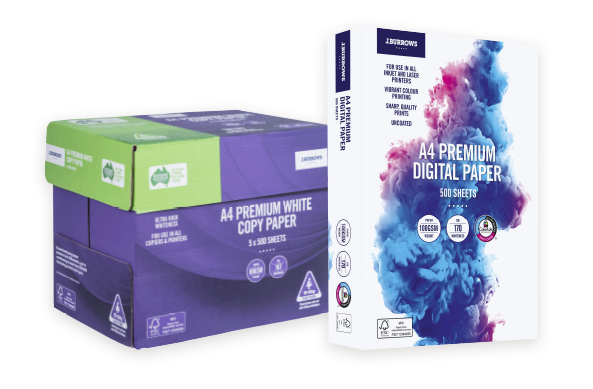 10 Best Paper Products