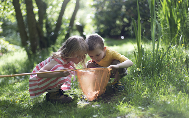 Over summer, students should take the opportunity to learn something new