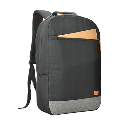 Computer Backpacks