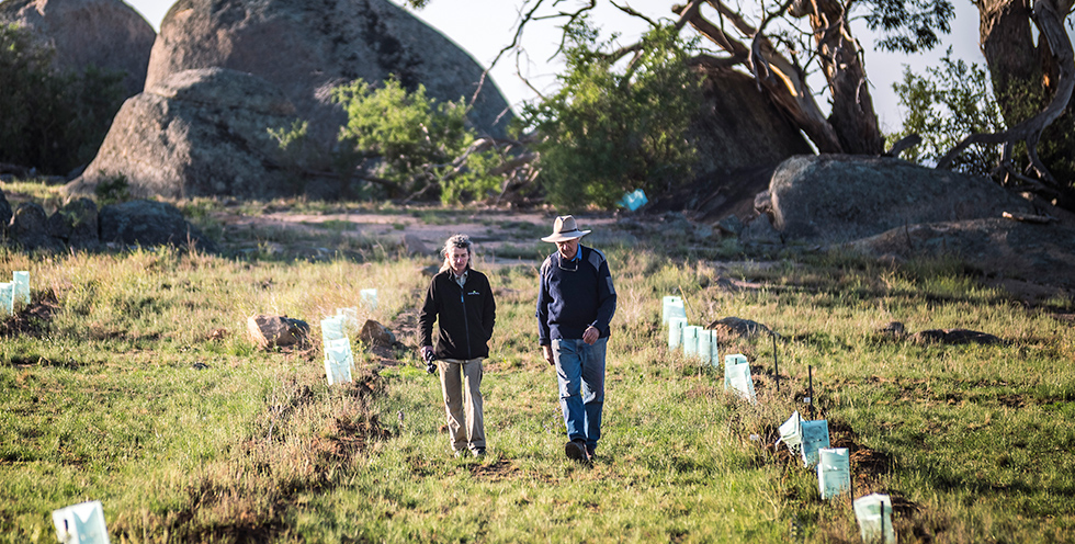 Landholder Charles Massy, and Greening Australia Ecologist, scientist Nicki Taws at our Restoring Australia planting site in Monaro. Credit: Annette Ruzicka