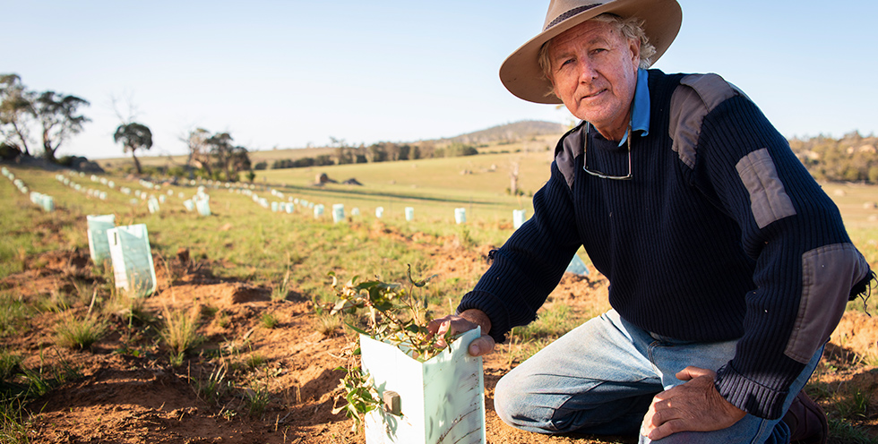 Landholder Charles Massy inspects some recently planted trees at our Restoring Australia planting site in Monaro.