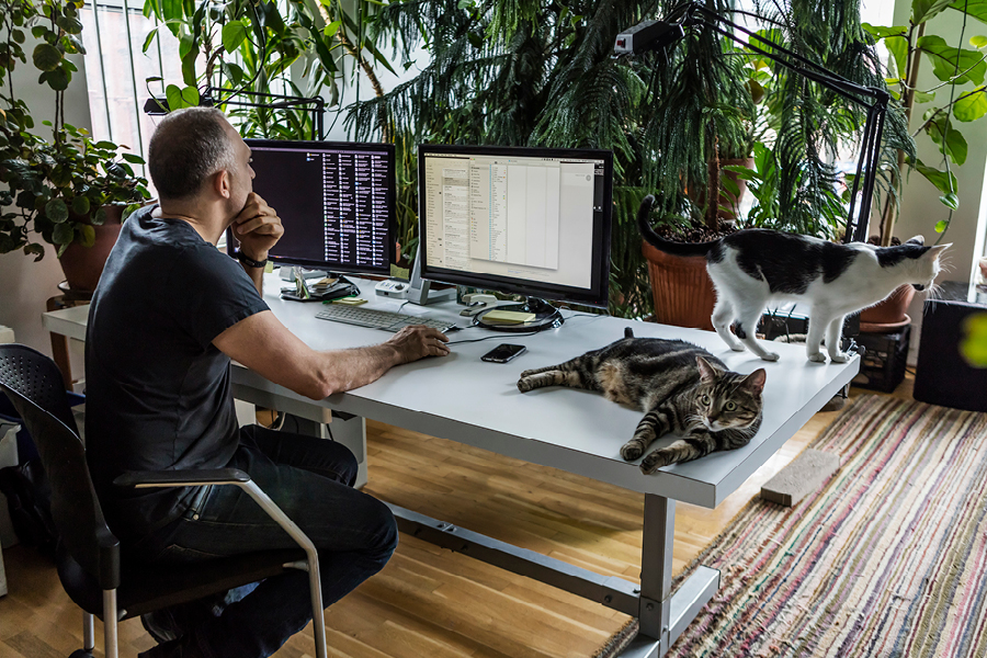 Dual computer monitors can help you boost your productivity by allowing you to multitask more effectively.