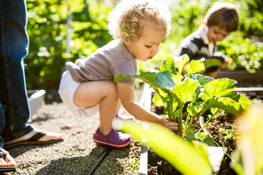 Gardening is a great incidental learning activity that teaches science and maths.